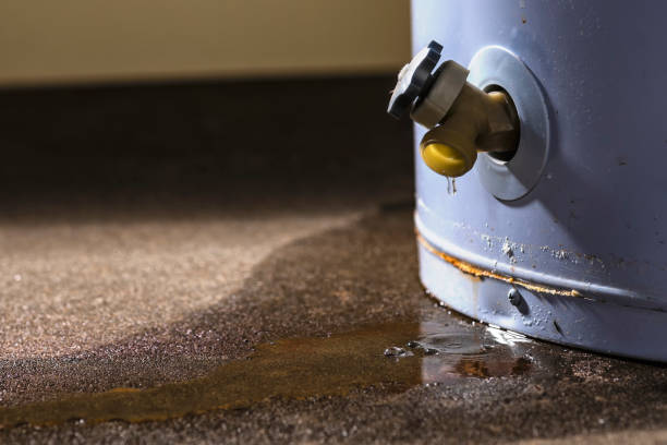 Best Flooded house restoration  in Industry, PA