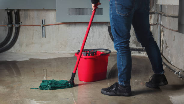 Best Local water damage restoration  in Industry, PA