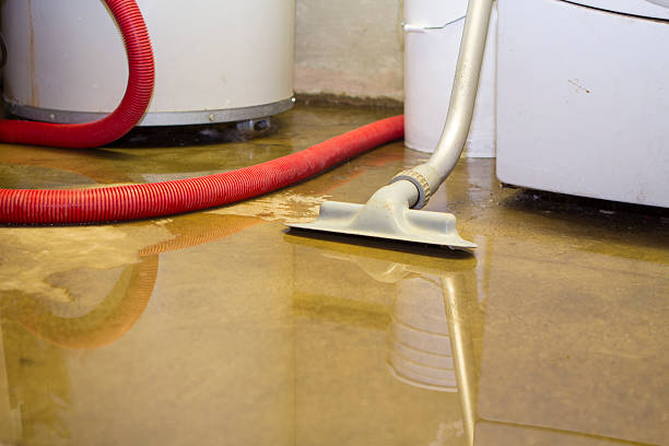 Best Ceiling water damage repair  in Industry, PA