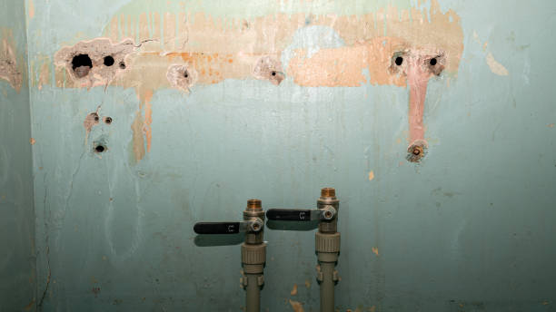 Best Water damage restoration specialists  in Industry, PA